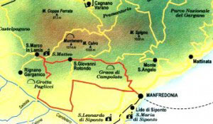 12.ITINERARIO 11 - LUNGO GLI ANTICHI PASCOLI1