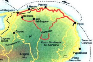 3.ITINERARIO 3 - IN MEZZO ALLE PINETE1