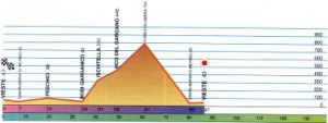 3.ITINERARIO 3 - IN MEZZO ALLE PINETE2