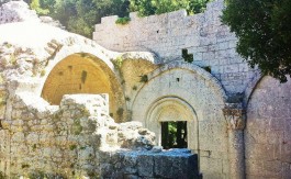 monte-sacro-orchidee-del-gargano