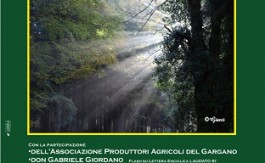 notte-verde-vico-del-gargano