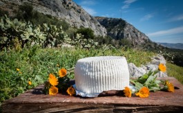 i-sapori-del-gargano-in-masseria
